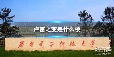 ​卢雷之变是什么梗 卢雷事件介绍