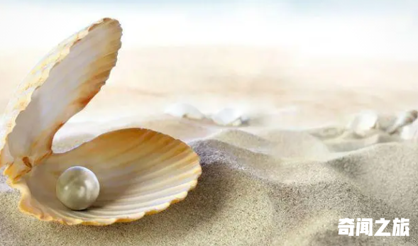 珍珠在醋中会溶吗（珍珠在醋里会消失图片）(1)_