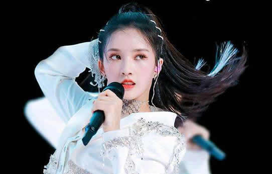 刘些宁个人资料简介 一直不温不火