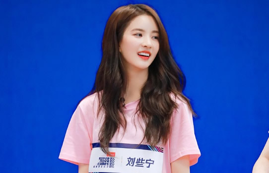 刘些宁个人资料简介 一直不温不火