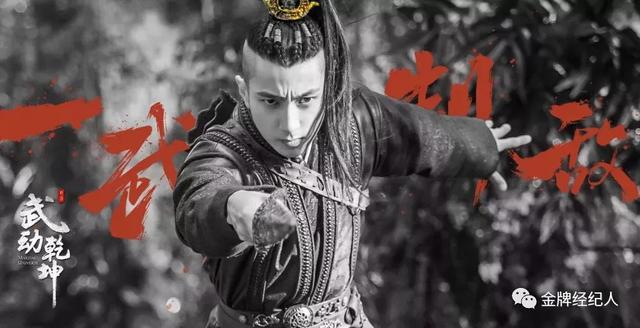 吴尊的个人资料(吴尊从偶像到反派)(12)