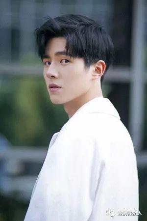吴尊的个人资料(吴尊从偶像到反派)(39)
