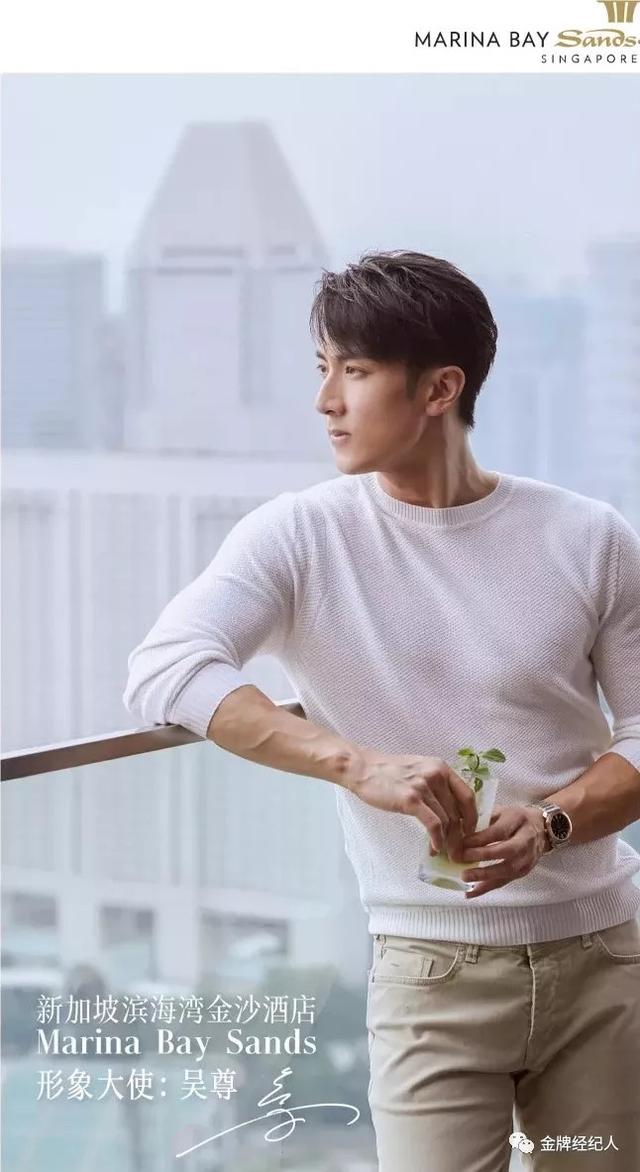 吴尊的个人资料(吴尊从偶像到反派)(33)