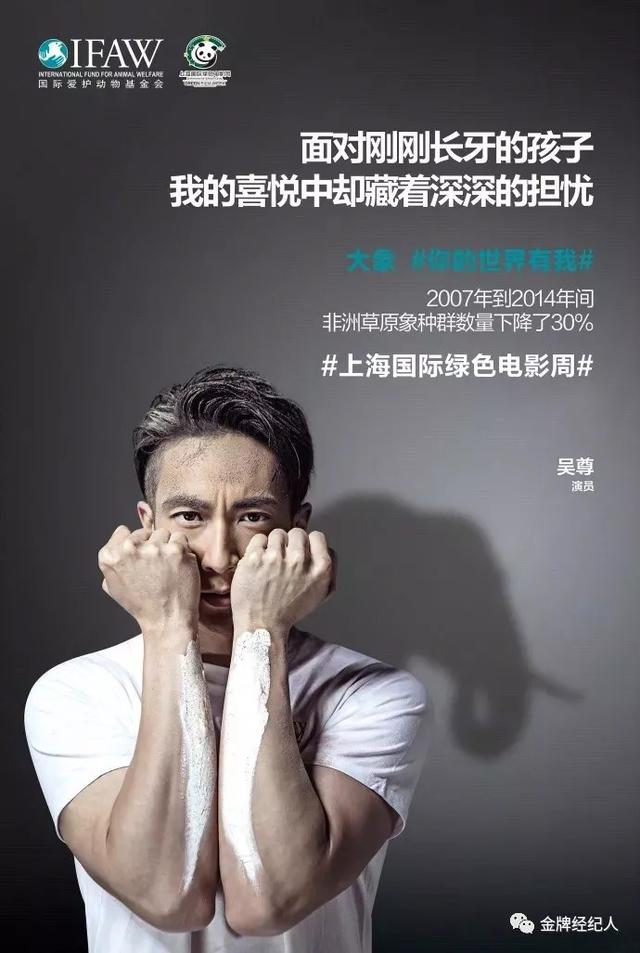 吴尊的个人资料(吴尊从偶像到反派)(28)