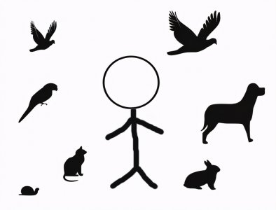 ​网申生活照该怎么选？这些“奇奇怪怪”的可不行