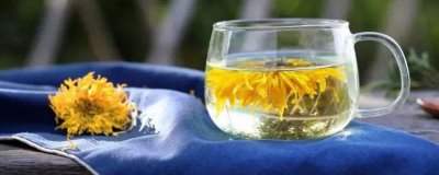 ​菊花茶怎么喝