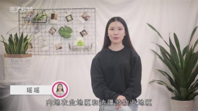 ​茶马古道路线是哪里