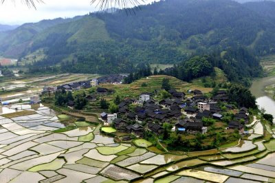 ​诗经选读(2):哀哀父母，生我劬劳