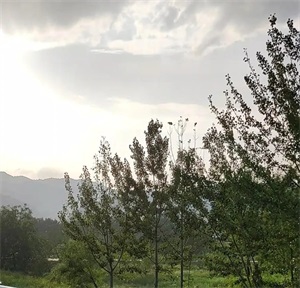 关山牧场住宿多少钱(关山牧场住宿蒙古包多少钱一晚)