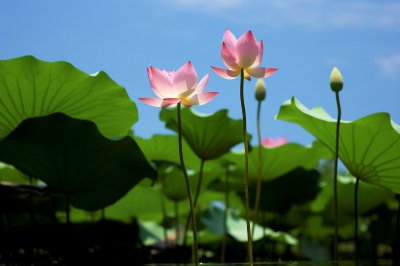 ​冷战中老公爱你的表现