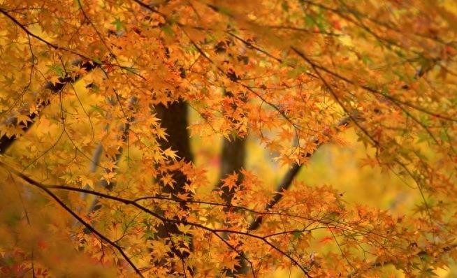 盘点薛之谦最好听的十首歌