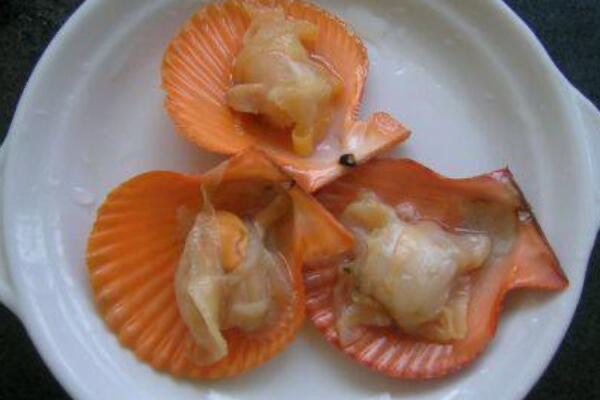 网络图片(侵删)