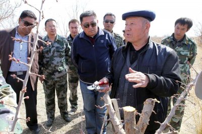 ​杏树嫁接时间与方法(杏树嫁接什么树最好)