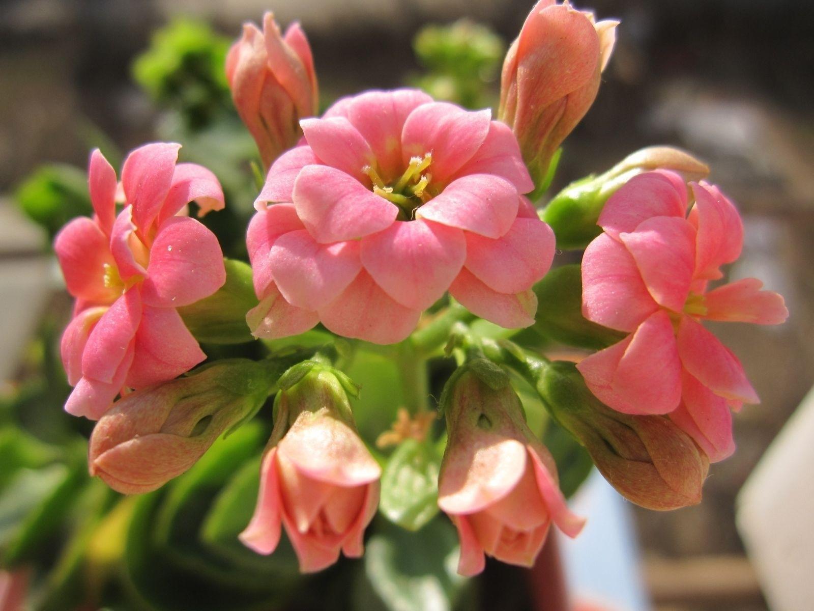 返老还童什么意思(返老还童真正的意思)