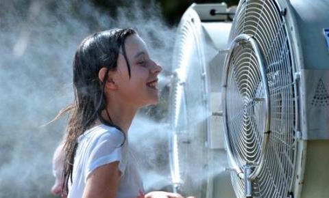 为什么明星容易生双胞胎？知道这些你还愿意做吗？