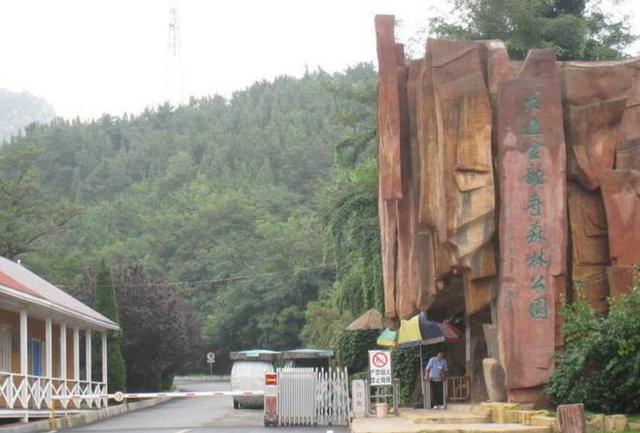 荧光海滩的游玩（美翻了的荧光海滩就在咱家门口）(9)