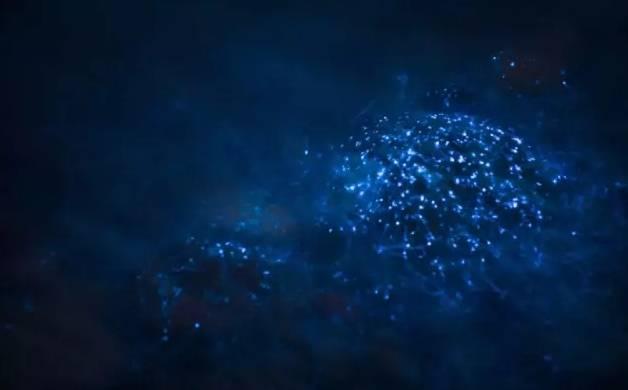 荧光海滩的游玩（美翻了的荧光海滩就在咱家门口）(6)