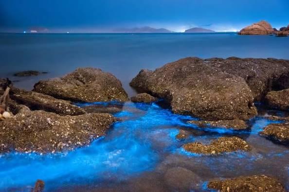 荧光海滩的游玩（美翻了的荧光海滩就在咱家门口）(12)