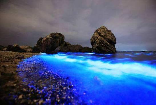 荧光海滩的游玩（美翻了的荧光海滩就在咱家门口）(3)