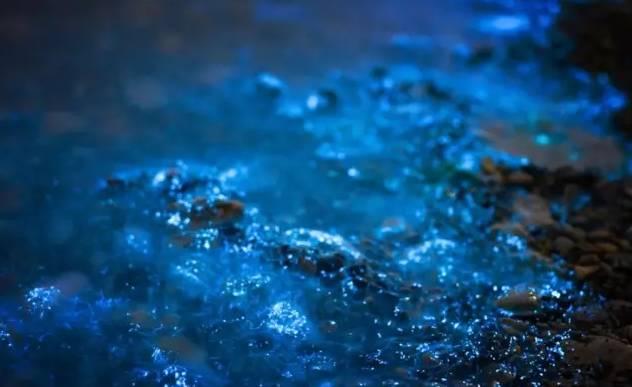 荧光海滩的游玩（美翻了的荧光海滩就在咱家门口）(5)