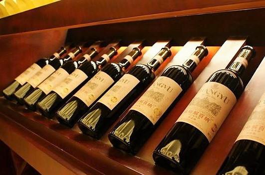 顶级啤酒和红酒哪个好