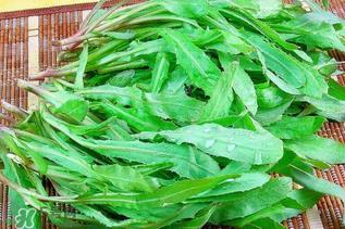 吃曲曲菜有什么好处？吃曲曲菜好吗？