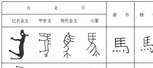 文字的演变过程：文字的演变过程