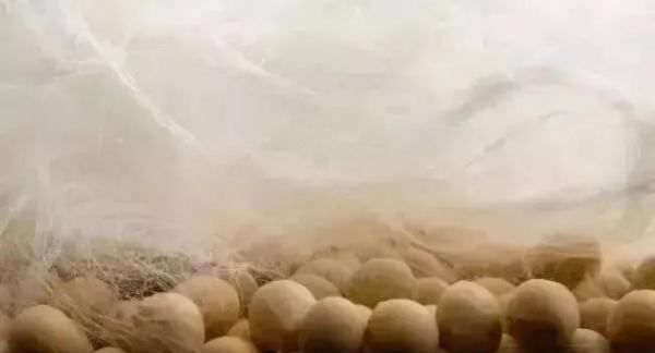 什么是大豆棉被子,大豆被是什么材质做的图2