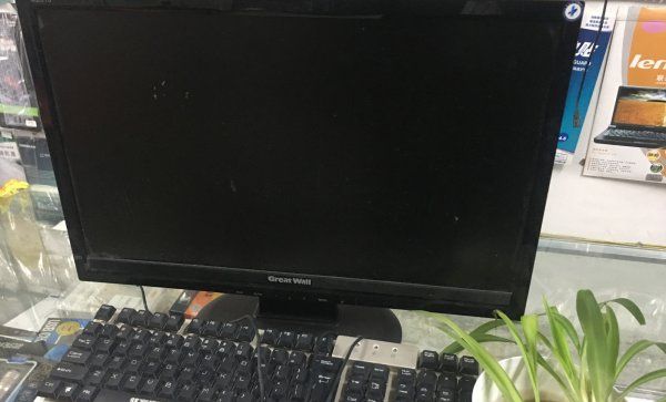 电脑旁放仙人掌能防辐射,电脑旁边放仙人掌真的可以防辐射吗图3