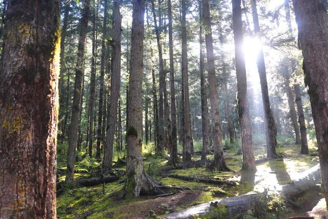 九寨沟游玩必去的景点介绍（九寨沟15个必去景点）(18)