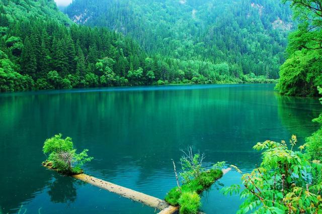 九寨沟游玩必去的景点介绍（九寨沟15个必去景点）(17)