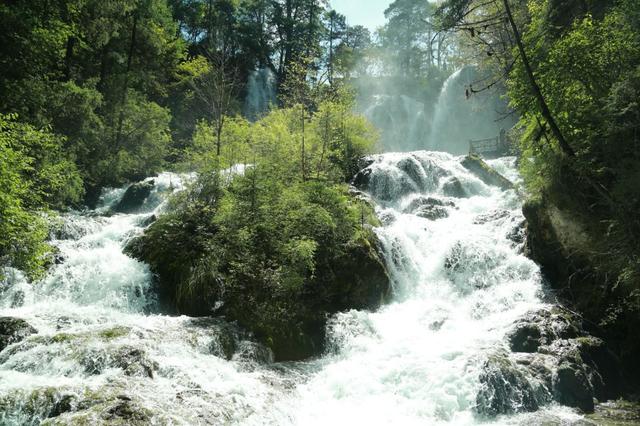 九寨沟游玩必去的景点介绍（九寨沟15个必去景点）(16)