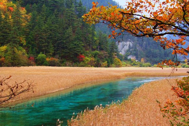 九寨沟游玩必去的景点介绍（九寨沟15个必去景点）(5)