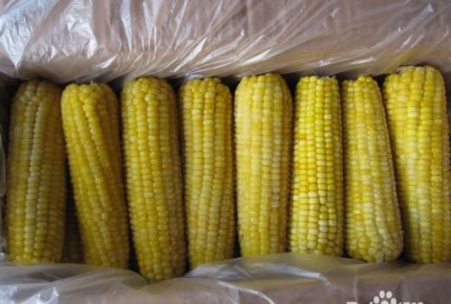 大量新鲜玉米如何长期保存呢