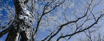 ​俱往矣什么意思 缘起缘灭,总无情,俱往矣!