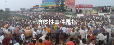 ​群体性事件是指