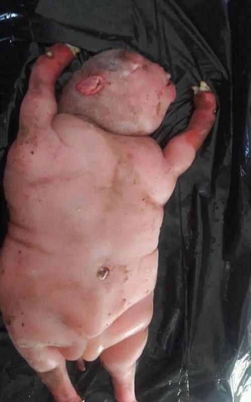 我们都是时代的产物是什么意思