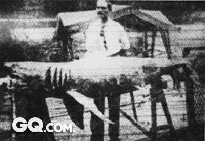 史上最凶残的十大杀人猛兽