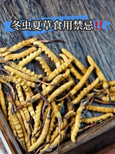​虫草有哪三类人不能吃（不能吃虫草的人群）