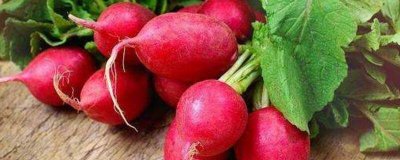 ​红罗卜能和鸡肉一起吃吗有毒吗 鸡肉和红罗卜可以一起吃吗