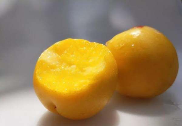 北戴河杏梅是不是黄桃,黄桃里面含有哪些维生素图1