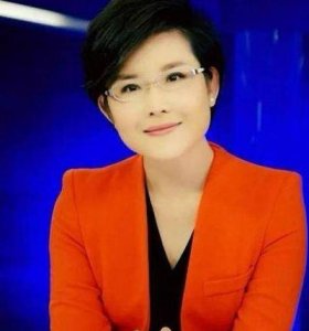 ​包含新闻联播主持人王宁的词条