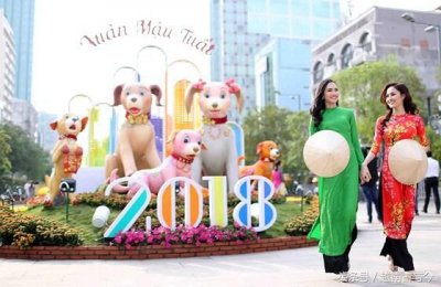 ​年味十足的越南春节花街开放, 越南美女争相在花丛前留下靓影