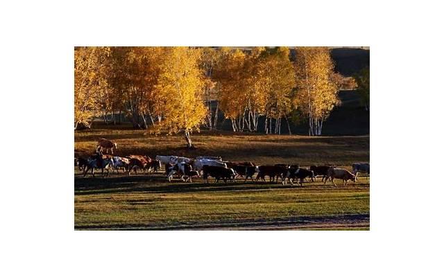 羡慕妒忌恨如何毁掉你的爱情关系?教你避免这些致命错误 羡慕妒忌恨如何毁掉你的爱情关系?教你避免这些致命错误